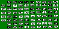 flags.jpg