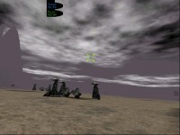 bug.JPG